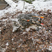IMG_2373.JPG