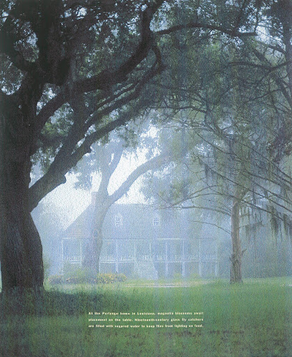 A 1750s French colonial house in Louisiana settled in the dewy mist of a hot Southern day. (Martha Stewart Living) A 1750s French colonial house in Louisiana settled in the dewy mist of a hot Southern day. (Martha Stewart Living)