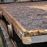 The Rolling Dry Carts of Cocoa Beans - St. George's, Grenada