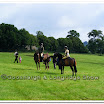 Light Horse 007.jpg