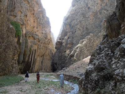 DSCN3875.jpg
