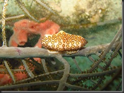 IMG_1193 IMG_1193