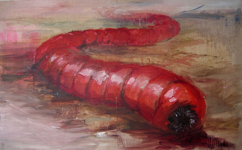 [mongolian-death-worm-3%255B2%255D.jpg]