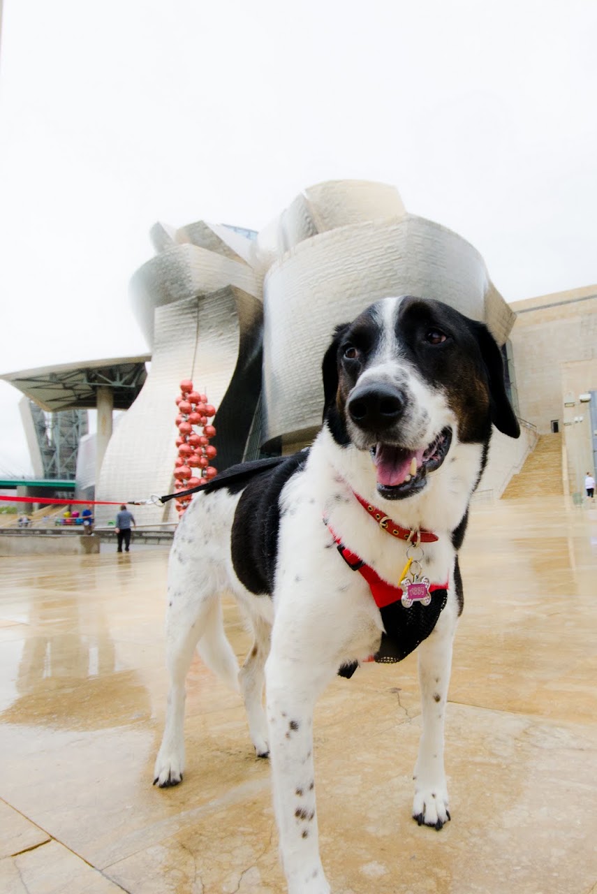 Abby at the Guggenheim