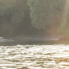IMG_6471.JPG