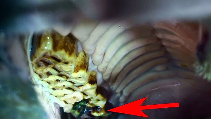 [20141114115347-%25281%2529%255B2%255D.jpg]