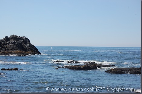 DSC_0765 DSC_0765