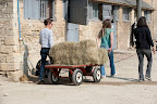 Where are the horses when you need one!