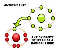 antioxidante
