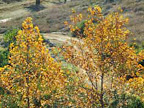 p1238559458(7).jpg