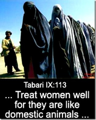 Tabari IX-113 on women