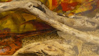 P1010047.JPG