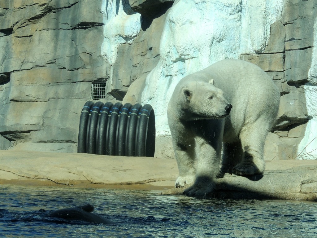 [DSCN2061%255B3%255D.jpg]