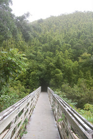 DSC_1013.JPG