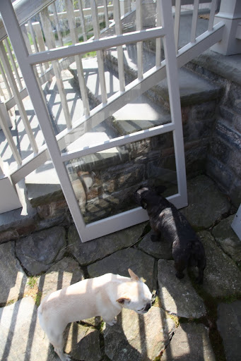 Gyurme, don't forget to wash the glass storm windows before storing them in the basement.  Martha also had a special storage area built for these windows.  Every window has its own storage slot.