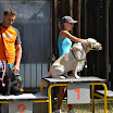 Agility_Hodonin_04.09.2011_059.jpg