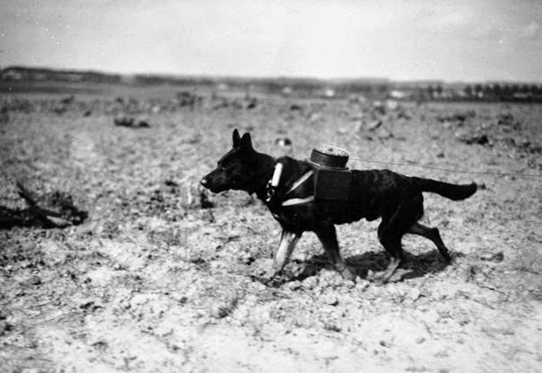 Primeira Guerra Mundial Primeira Guerra Mundial