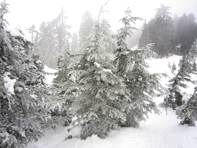 [IMG_6399%255B3%255D.jpg]