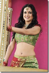 Telugu Actress Maryam Zakaria Hot Spicy Stills