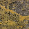 PzW.646 -faktura dsc04605.jpg