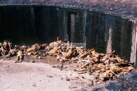 Mummification body in Tower of Silence 02