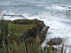 Tasman Shore