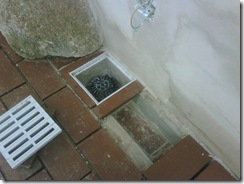 IMG00945-20111121-1126