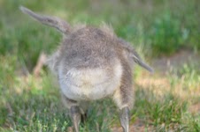 DSC_1069.JPG