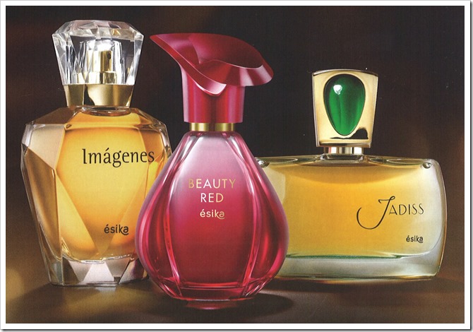 Mundo de aromas Mundo de aromas