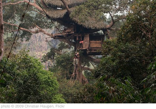 'Treehouse 1' photo (c) 2009, Christian Haugen - license: http://creativecommons.org/licenses/by/2.0/