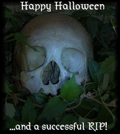 [endskull13.jpg]