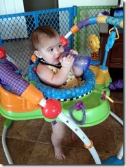 IMG_20130717_110307 IMG_20130717_110307