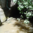 DSC02846.JPG