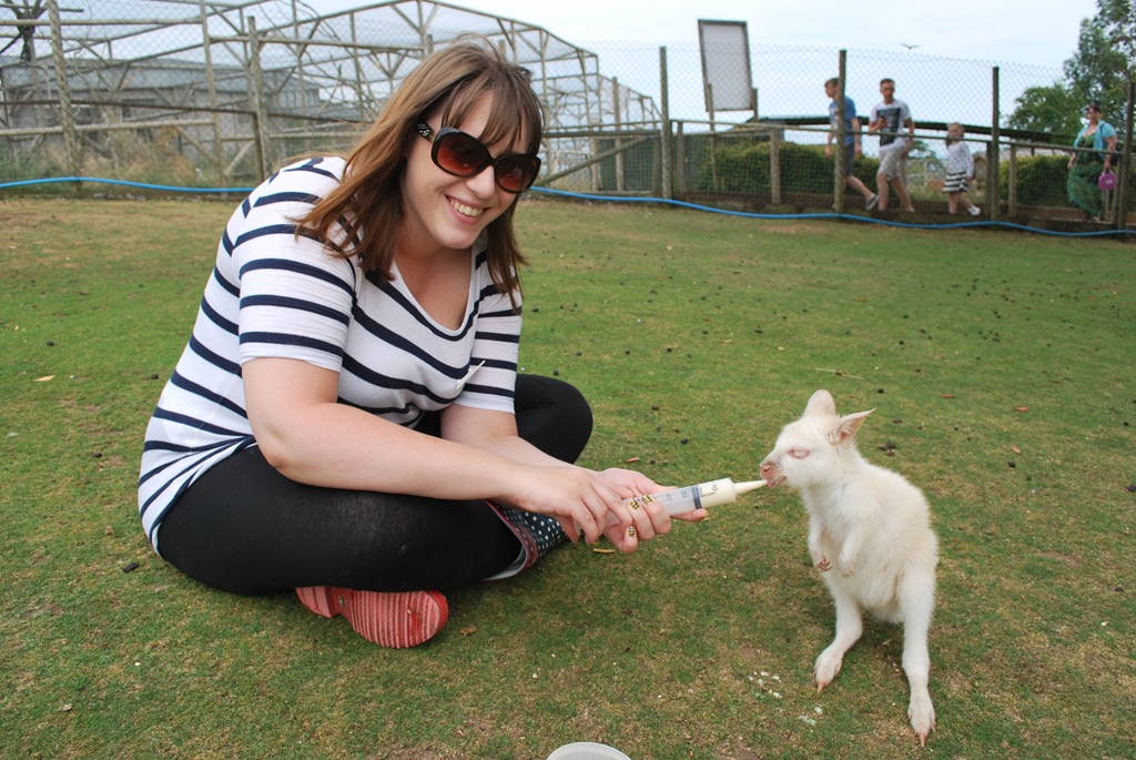 [DSC_0460%255B6%255D.jpg]