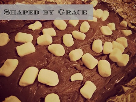 SmoresFudge2 SmoresFudge2