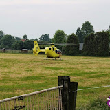 IMG_8702.jpg