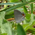 P1120341
