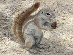 Etosha Nationalpark