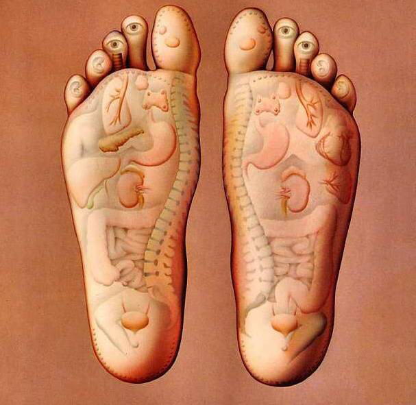 Image Dimension: 512x499 :: Health - Very Very Important Tips Health - Very Very Important Tips