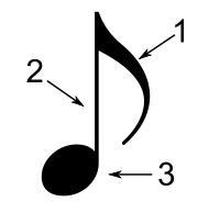 [200px-Parts_of_a_musical_note.svg%255B17%255D.png]
