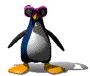 Pinguim (19)