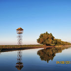 IMG_5813.JPG