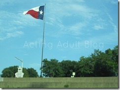 Dallas trip Memorial Day 2012 (5)