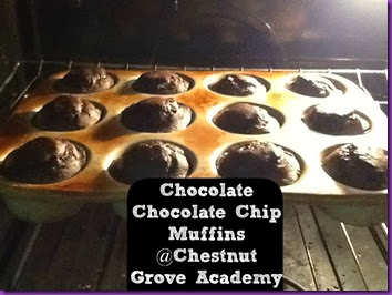 choc muffins