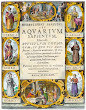 From Hydrolithus Sophicus Seu Aquarium Sapientum 1625