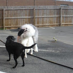 DSCN4560.jpg