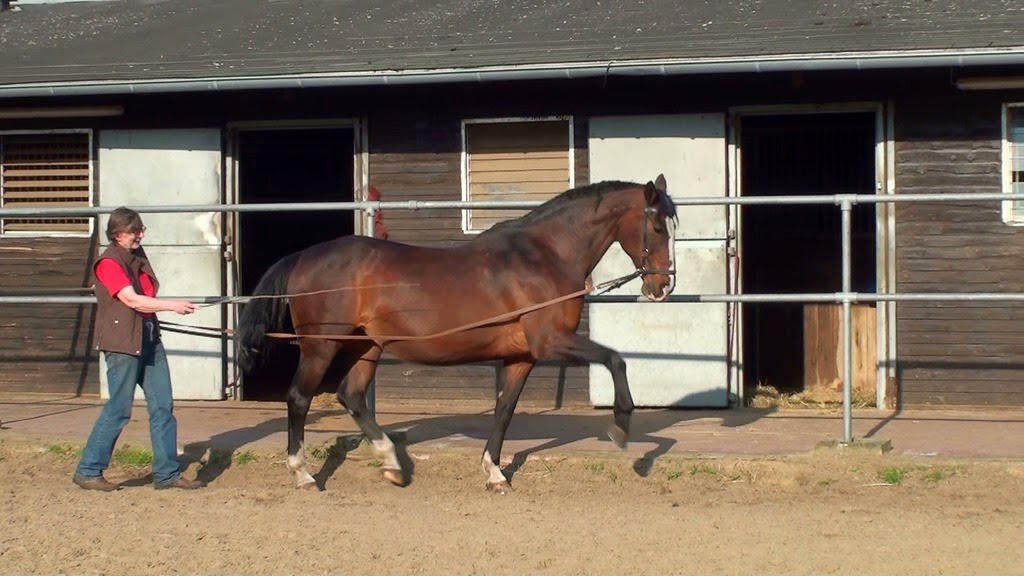 [20140428173621-%25281%2529%255B2%255D.jpg]