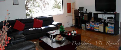 casa-siete-arboles-en-el-pueblo-07.jpg casa-siete-arboles-en-el-pueblo-07.jpg