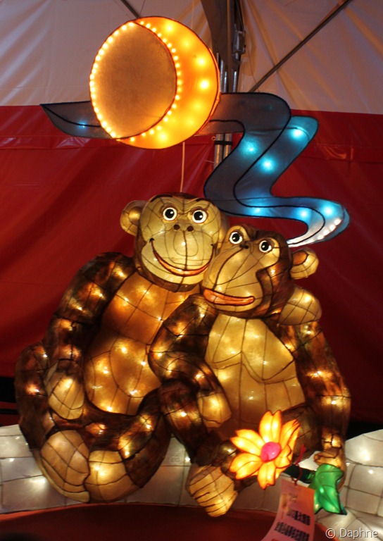 [IMG_5231%255B5%255D.jpg]