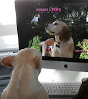 Aussie is a good looking dude - don't you think so, Frannie?